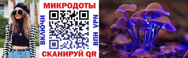 Галлюциногенные грибы Psilocybe  Уржум 